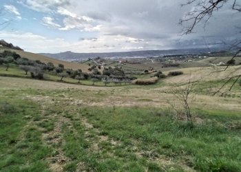 Foto 6 - Agricultural land via borgo da mare
snc, Monteprandone - photo 6