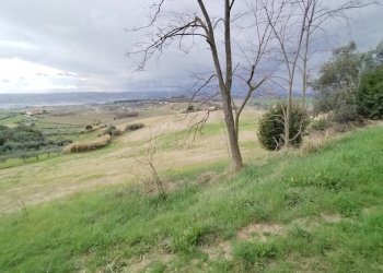 Foto 7 - Agricultural land via borgo da mare
snc, Monteprandone - photo 7