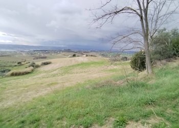 Foto 8 - Agricultural land via borgo da mare
snc, Monteprandone - photo 8