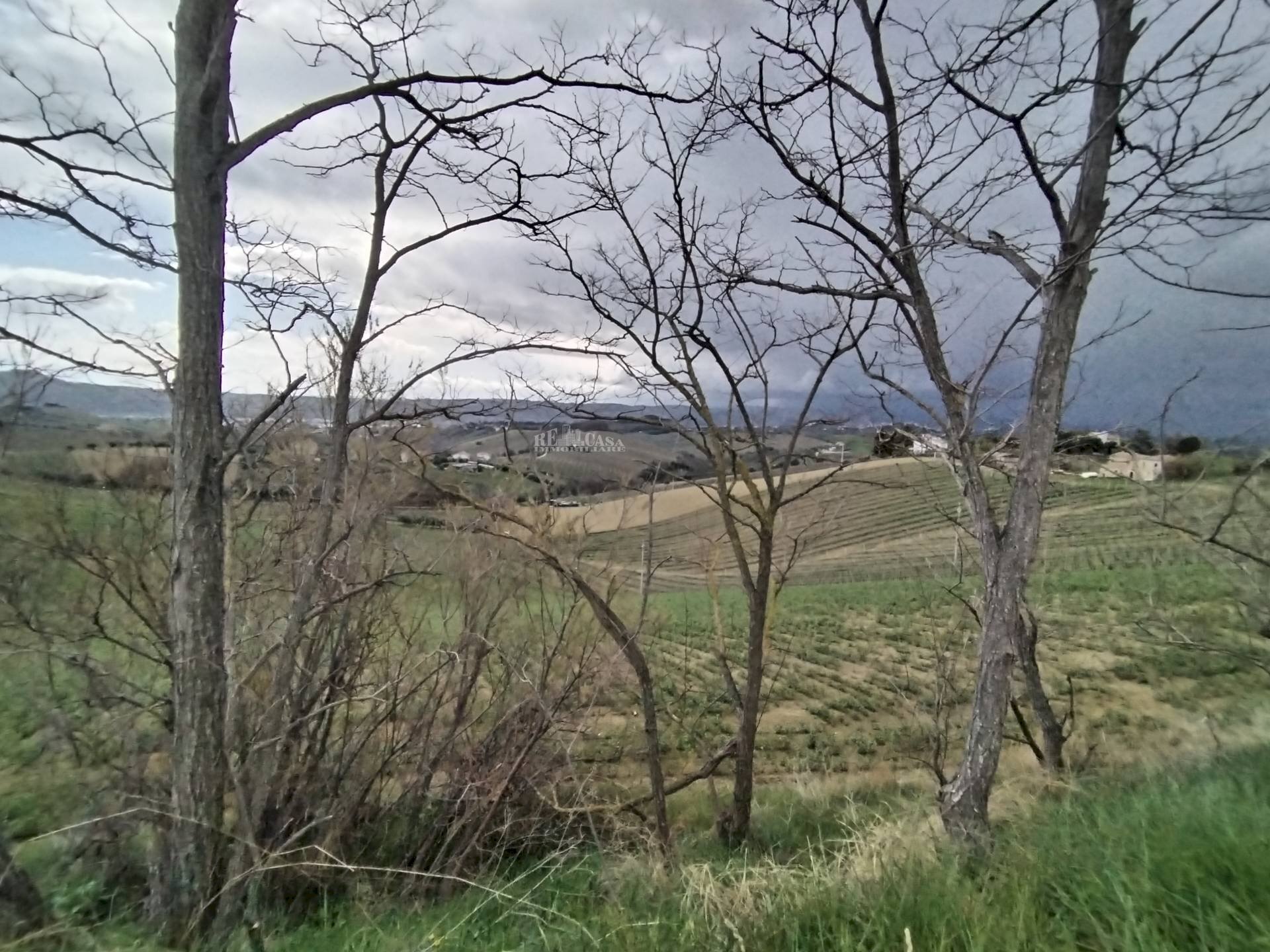 Foto 3 - Agricultural land via colle appeso
 
snc, Monteprandone - photo 3
