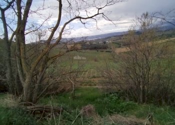 Foto 2 - Agricultural land via colle appeso
snc, Monteprandone - photo 2