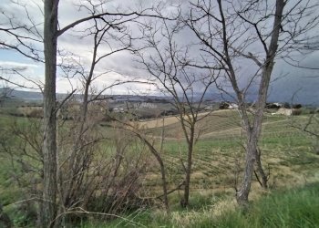 Foto 3 - Agricultural land via colle appeso
snc, Monteprandone - photo 3