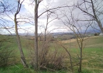 Foto 4 - Agricultural land via colle appeso
snc, Monteprandone - photo 4