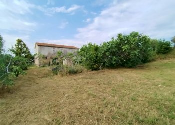 Foto 6 - Rustic contrada spiagge
 
snc, Monteprandone - photo 6