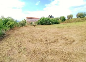 Foto 9 - Rustic contrada spiagge
 
snc, Monteprandone - photo 9