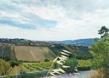 Foto 10 - Rustic contrada spiagge
 
snc, Monteprandone - photo 10