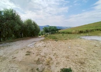 Foto 11 - Rustic contrada spiagge
 
snc, Monteprandone - photo 11