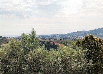 Foto 23 - Rustic contrada spiagge
 
snc, Monteprandone - photo 22