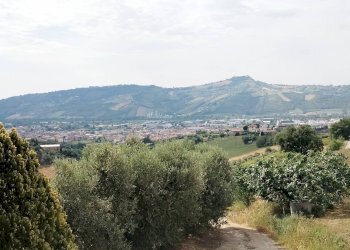 Foto 24 - Rustic contrada spiagge
 
snc, Monteprandone - photo 23