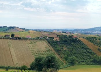 Foto 25 - Rustic contrada spiagge
 
snc, Monteprandone - photo 24