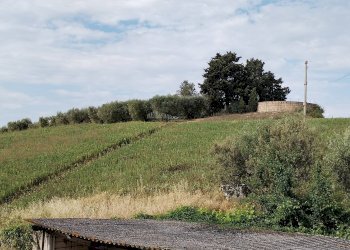 Foto 26 - Rustic contrada spiagge
 
snc, Monteprandone - photo 25