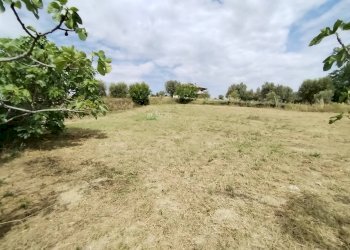 Foto 50 - Rustic contrada spiagge
 
snc, Monteprandone - photo 49