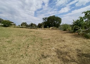 Foto 51 - Rustic contrada spiagge
 
snc, Monteprandone - photo 50