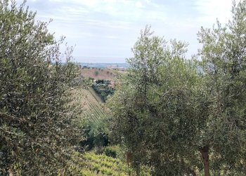 Foto 52 - Rustic contrada spiagge
 
snc, Monteprandone - photo 51