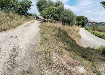 Foto 54 - Rustic contrada spiagge
 
snc, Monteprandone - photo 53