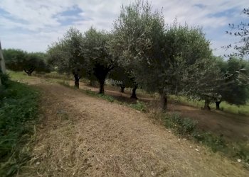 Foto 4 - Rustic contrada spiagge
 
23, Monteprandone - photo 4