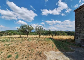 Foto 23 - Rustic frazione Scalelle, Roccafluvione - photo 23