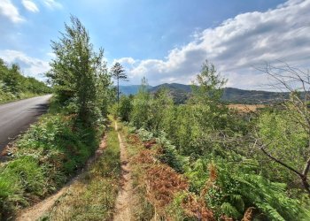 Foto 25 - Rustic frazione Scalelle, Roccafluvione - photo 25