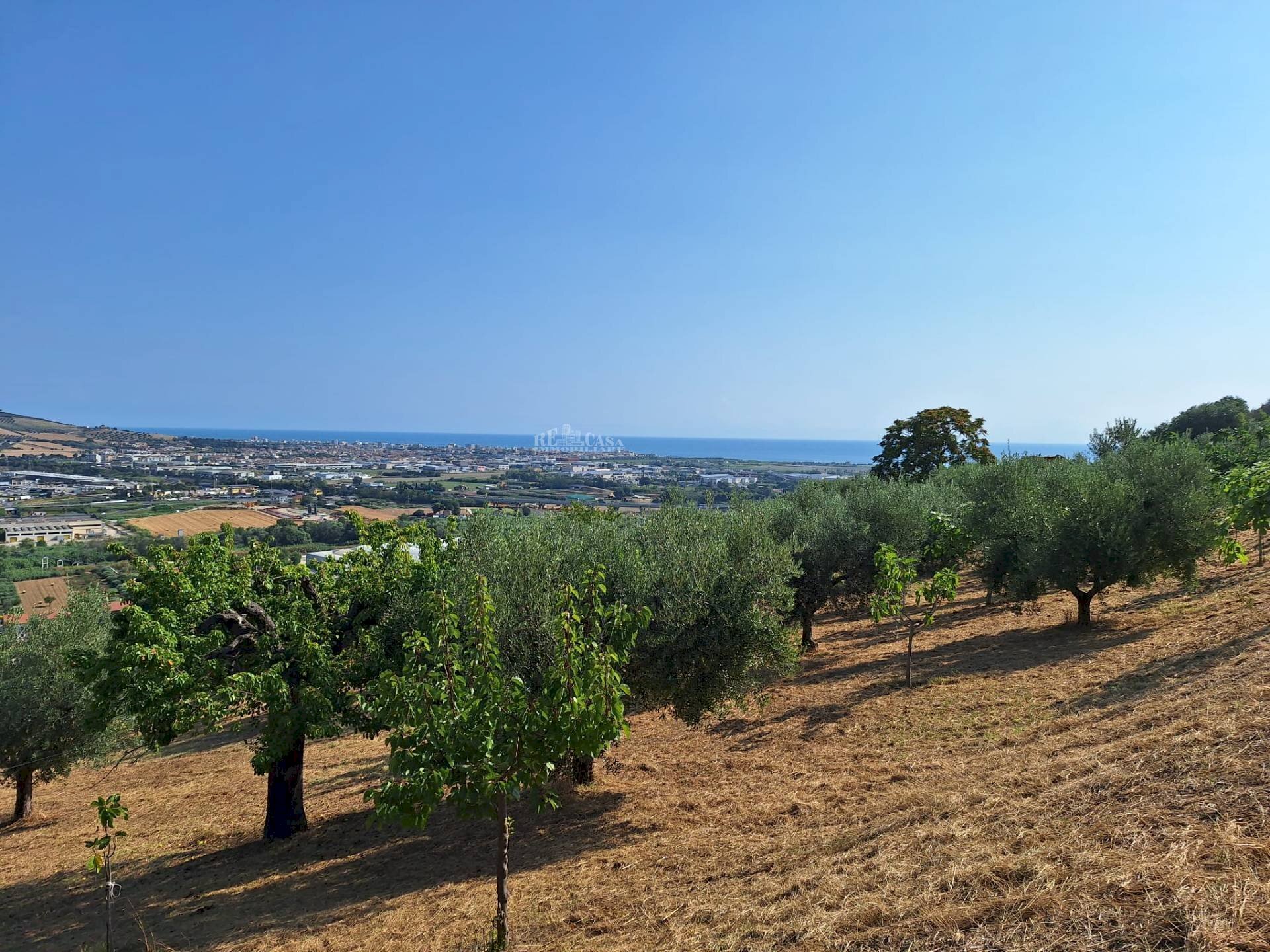 Foto 2 - Terreno agricolo contrada san giovanni, Colonnella - foto 2