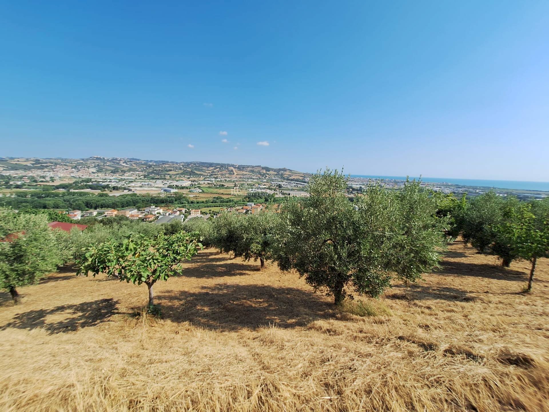 Foto 3 - Terreno agricolo contrada san giovanni, Colonnella - foto 3
