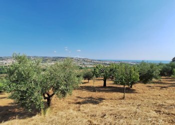 Foto 1 - Terreno agricolo contrada san giovanni, Colonnella - foto 1