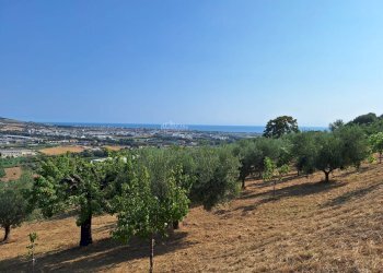 Foto 2 - Terreno agricolo contrada san giovanni, Colonnella - foto 2