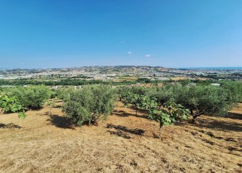 Foto 7 - Terreno agricolo contrada san giovanni, Colonnella - foto 7