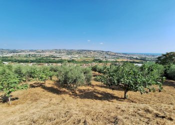 Foto 8 - Terreno agricolo contrada san giovanni, Colonnella - foto 8