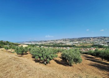 Foto 9 - Terreno agricolo contrada san giovanni, Colonnella - foto 9