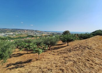Foto 10 - Terreno agricolo contrada san giovanni, Colonnella - foto 10
