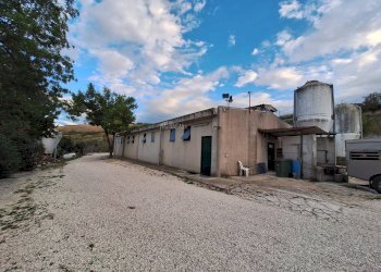 Foto 1 - Attività Commerciale 2, Maltignano - foto 1