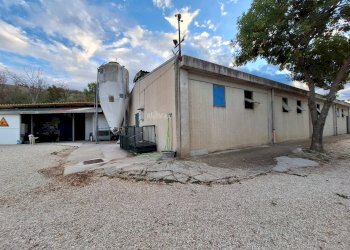 Foto 2 - Attività Commerciale 2, Maltignano - foto 2