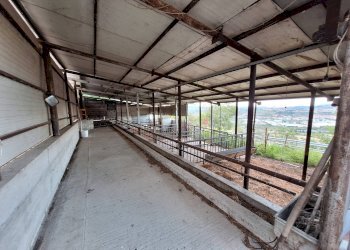 Foto 3 - Attività Commerciale 2, Maltignano - foto 3