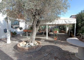 Foto 8 - Bilocale val tiberina, San Benedetto del Tronto - foto 8