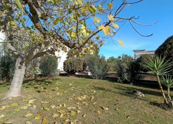 Foto 10 - Bilocale val tiberina, San Benedetto del Tronto - foto 10