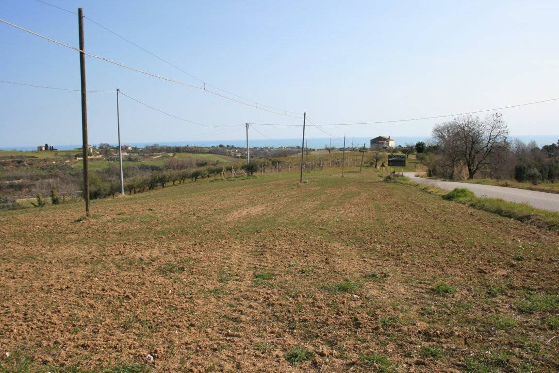 Foto 3 - Terreno edificabile strada provinciale 58
 
snc, Massignano - foto 3