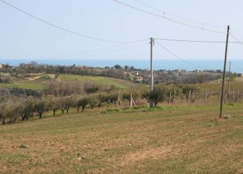 Foto 1 - Terreno edificabile strada provinciale 58
 
snc, Massignano - foto 1