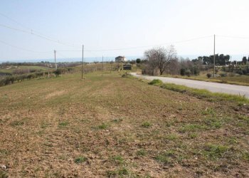 Foto 4 - Terreno edificabile strada provinciale 58
 
snc, Massignano - foto 4