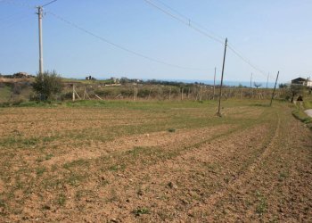 Foto 7 - Terreno edificabile strada provinciale 58
 
snc, Massignano - foto 7