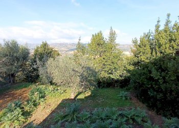 Foto 3 - Rustic contrada piane santi
 
15, Massignano - photo 3