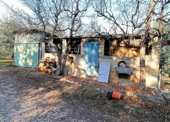 Foto 5 - Rustic contrada piane santi
 
15, Massignano - photo 5