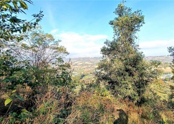 Foto 15 - Rustic contrada piane santi
 
15, Massignano - photo 15