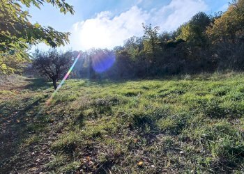 Foto 18 - Rustic contrada piane santi
 
15, Massignano - photo 18