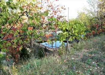 Foto 27 - Rustic contrada piane santi
 
15, Massignano - photo 27