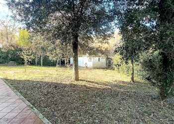 Foto 7 - Casa indipendente strada provinciale 91
 
40, Montefiore dell'Aso - foto 7