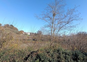 Foto 43 - Casa indipendente strada provinciale 91
 
40, Montefiore dell'Aso - foto 43