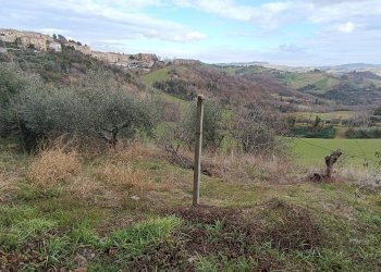 Foto 4 - Quadrilocale strada provinciale 66
 
11, Petritoli - foto 4