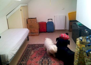 Foto 25 - Quadrilocale san carlo, Grottammare - foto 24