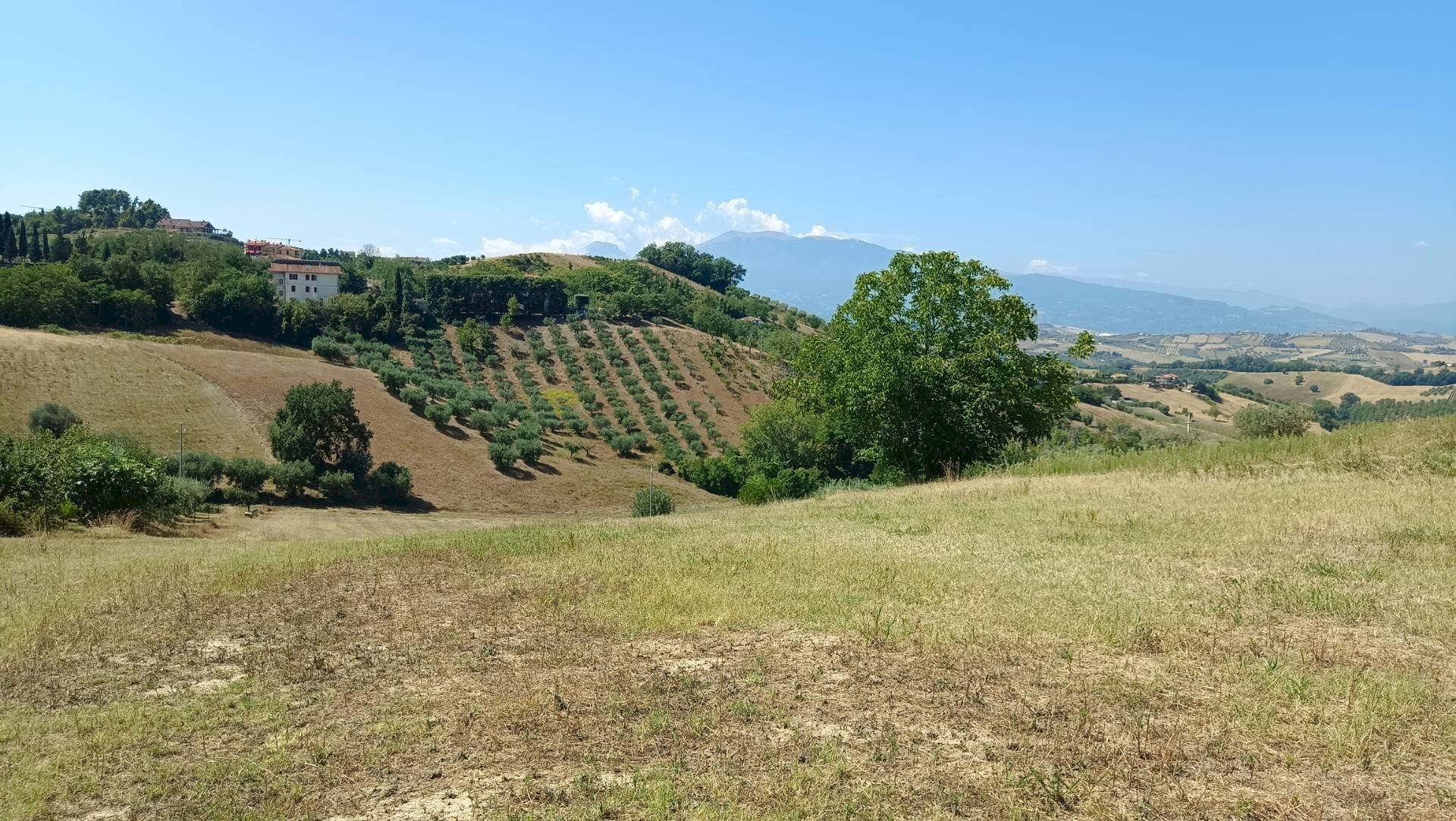 Foto 1 - Terreno edificabile strada provinciale 18
 
snc, Castorano - foto 1