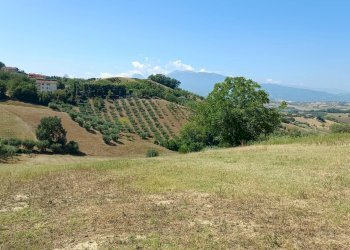 Foto 11 - Terreno edificabile strada provinciale 18
snc, Castorano - foto 11